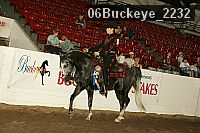 06buckeye_2232 proof