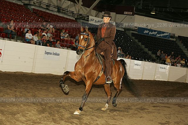 Proof 06buckeye_2236