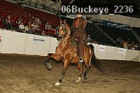 06buckeye_2236 proof