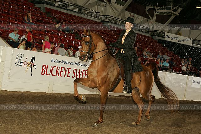 Proof 06buckeye_2237