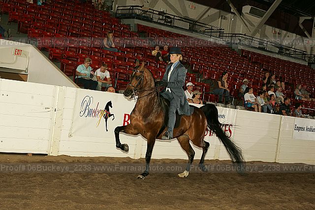 Proof 06buckeye_2238
