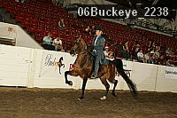06buckeye_2238 proof