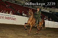 06buckeye_2239 proof