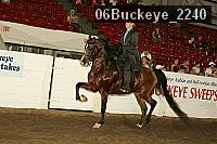 06buckeye_2240 proof