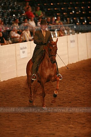 Proof 06buckeye_2242