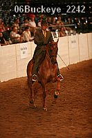 06buckeye_2242 proof