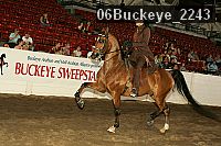 06buckeye_2243 proof