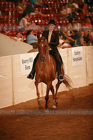 Proof 06buckeye_2244