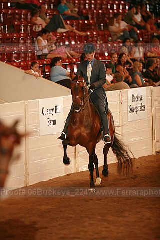 Proof 06buckeye_2247