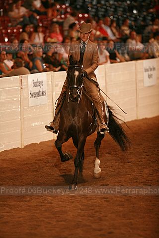 Proof 06buckeye_2248
