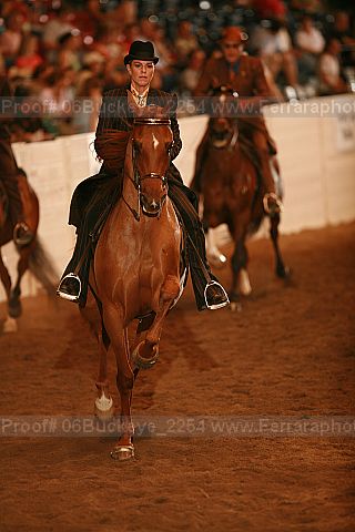 Proof 06buckeye_2254