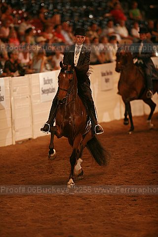 Proof 06buckeye_2255