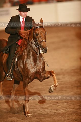 Proof 06buckeye_2256