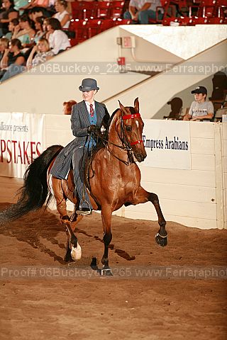 Proof 06buckeye_2265