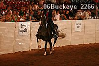 06buckeye_2266 proof