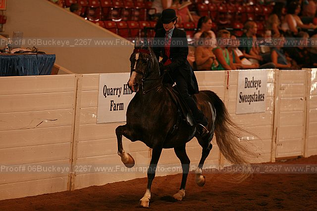 Proof 06buckeye_2267