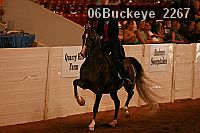 06buckeye_2267 proof