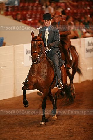 Proof 06buckeye_2269
