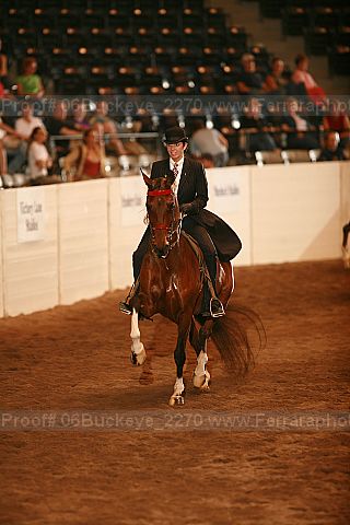 Proof 06buckeye_2270