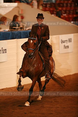 Proof 06buckeye_2272