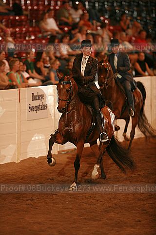 Proof 06buckeye_2273