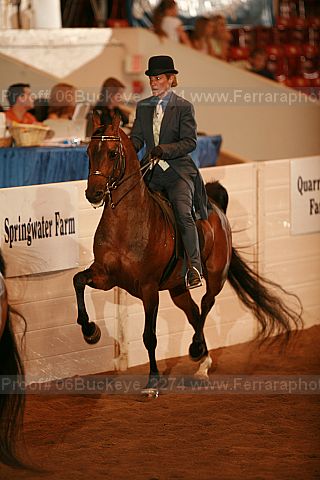 Proof 06buckeye_2274
