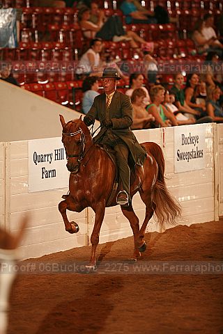 Proof 06buckeye_2275