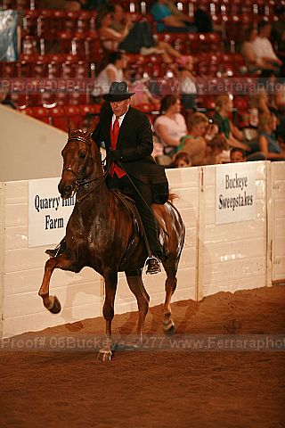 Proof 06buckeye_2277