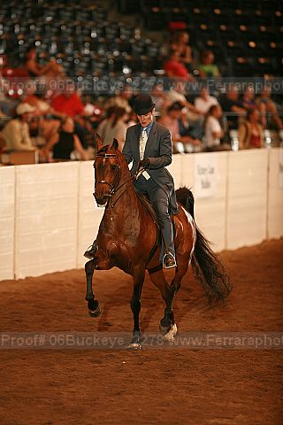 Proof 06buckeye_2278