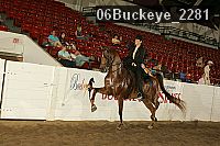 06buckeye_2281 proof