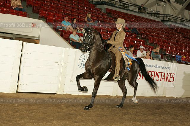 Proof 06buckeye_2282