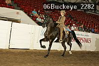 06buckeye_2282 proof