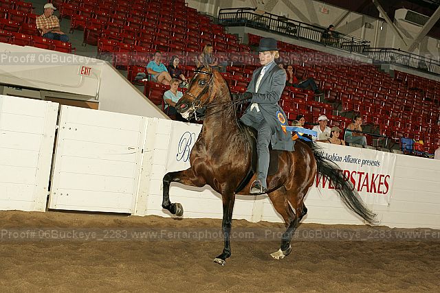 Proof 06buckeye_2283