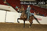 06buckeye_2283 proof