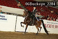 06buckeye_2284 proof