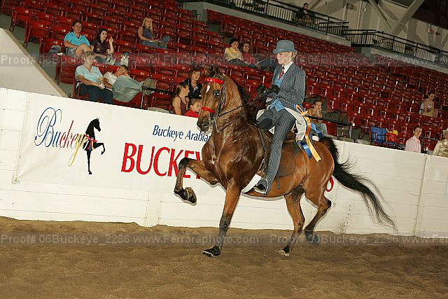 Proof 06buckeye_2286