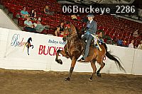 06buckeye_2286 proof