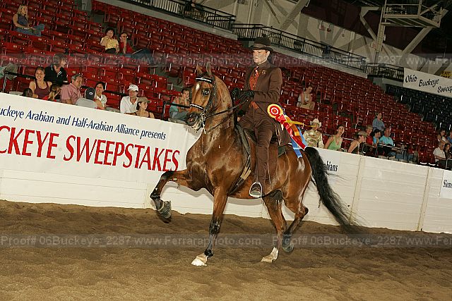 Proof 06buckeye_2287