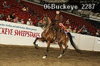 06buckeye_2287 proof