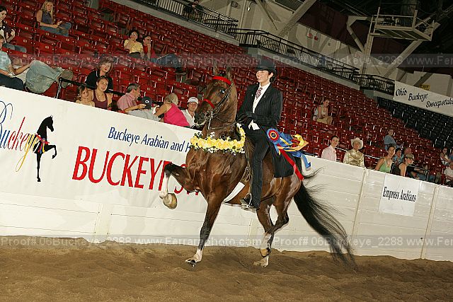 Proof 06buckeye_2288