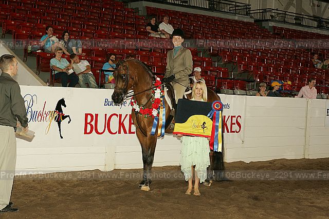 Proof 06buckeye_2291
