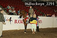06buckeye_2291 proof