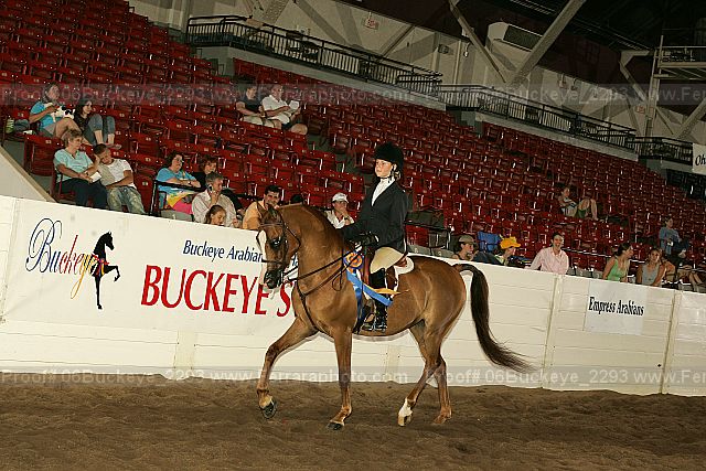 Proof 06buckeye_2293