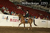 06buckeye_2293 proof