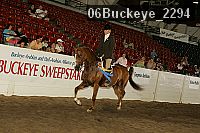 06buckeye_2294 proof