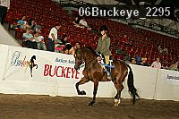 06buckeye_2295 proof