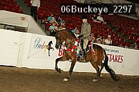 06buckeye_2297 proof