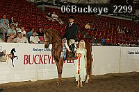 06buckeye_2299 proof