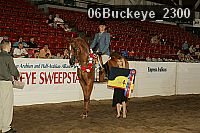 06buckeye_2300 proof
