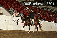 06buckeye_2301 proof